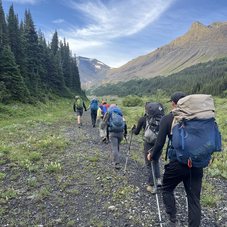 Group of hikers trekking on a mountain trail surrounded by evergreen forests and scenic peaks under blue sky
