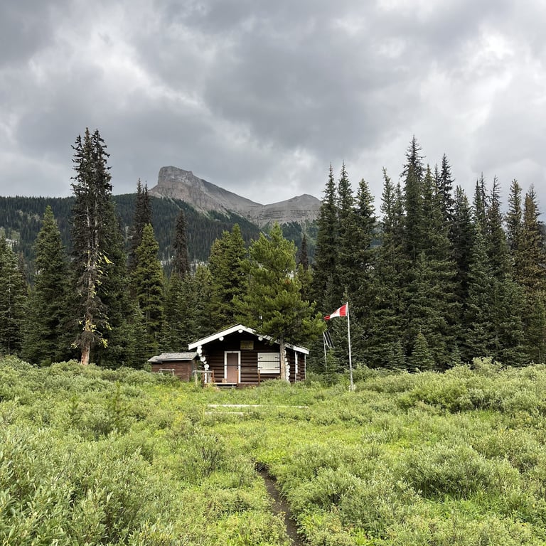 Small wooden cabin with red roof in grassy meadow surrounded by evergreen trees and mountains under cloudy sky