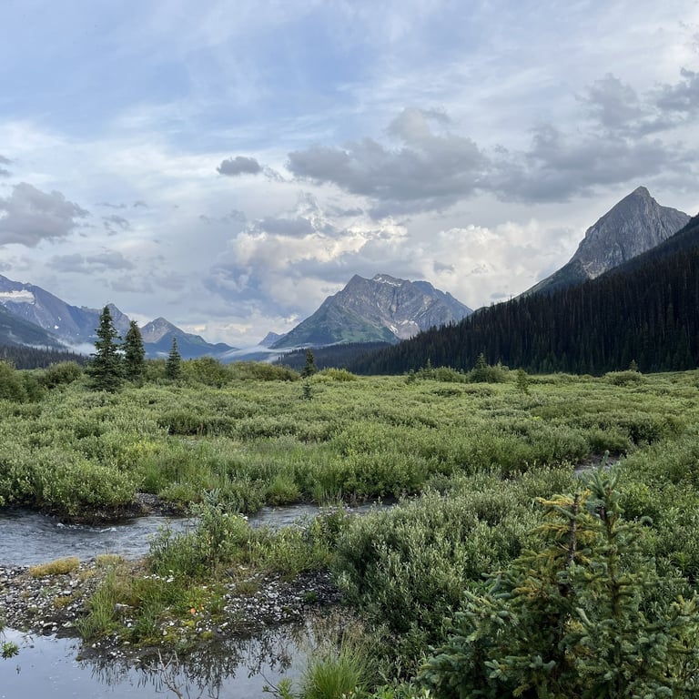 Mountain valley landscape with a small stream flowing through sagebrush and grass meadow under cloudy sky