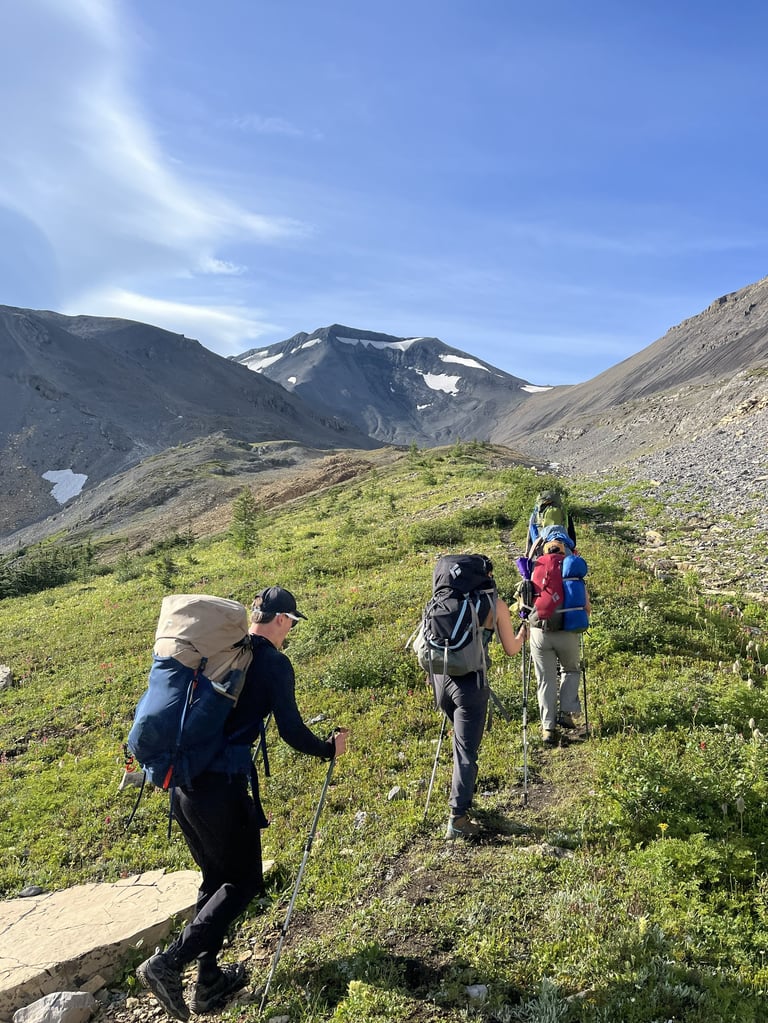 Group of backpackers hiking on a mountain trail with snow-capped peaks and green meadows under a blue sky