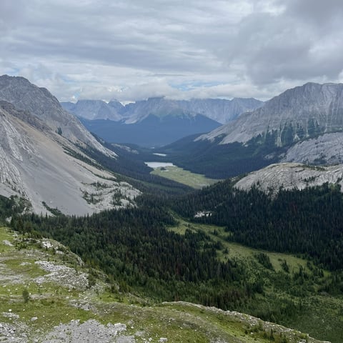 Mountain valley landscape with coniferous forest, rocky peaks, and green meadows under cloudy sky