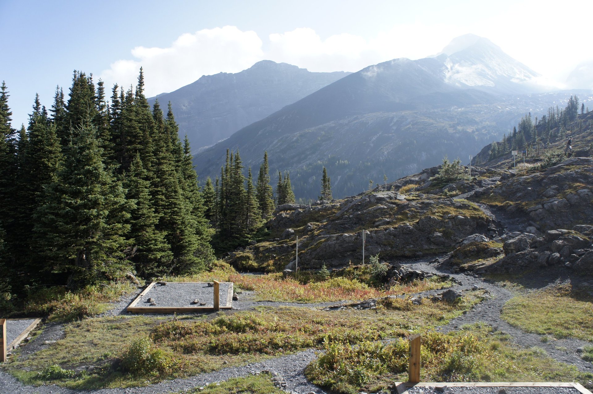 Alpine landscape with evergreen forest, rocky terrain, and snow-capped mountain peak in the distance under clear sky