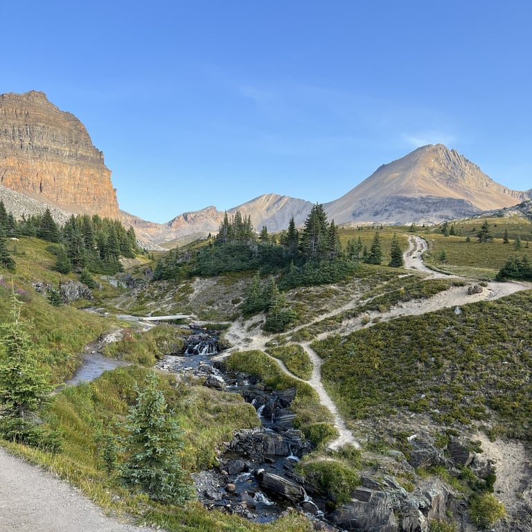 Mountain valley landscape with winding road, stream, coniferous trees, and rocky peaks under clear blue sky