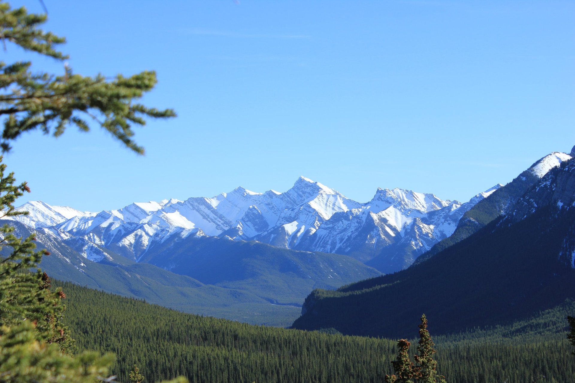 Snow-capped mountain range with forested valley under clear blue sky