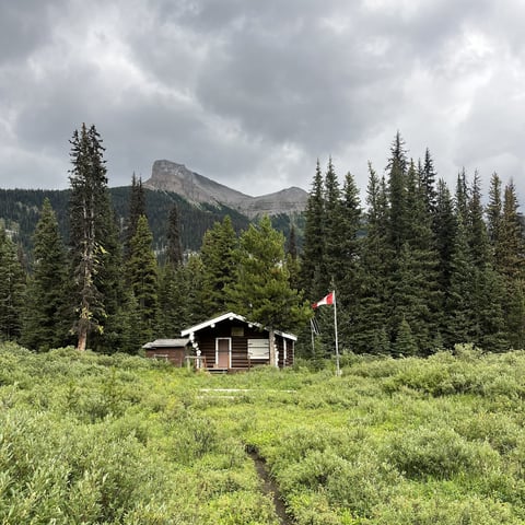 Rustic log cabin with red flag in mountain meadow surrounded by evergreen forest and rocky peaks under cloudy sky