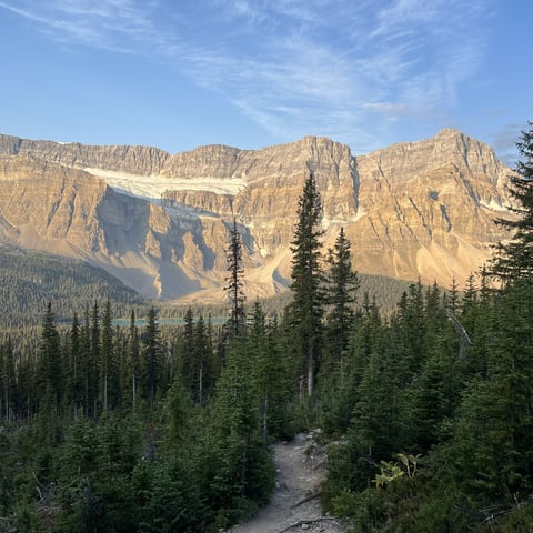 Mountain landscape with dense evergreen forest and towering rocky peaks under a blue sky