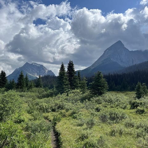 Mountain landscape with snow-capped peaks, evergreen forest, and green meadow under cloudy blue sky