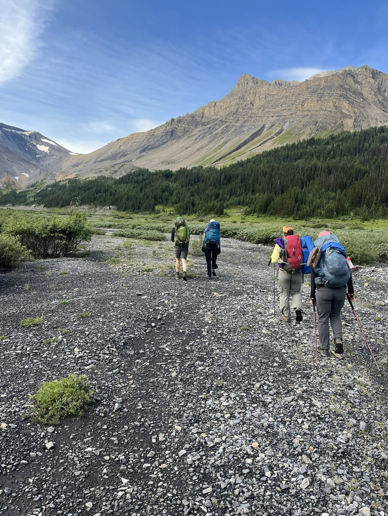 Hikers with backpacks trekking on rocky mountain trail with forested slopes and peaks in background