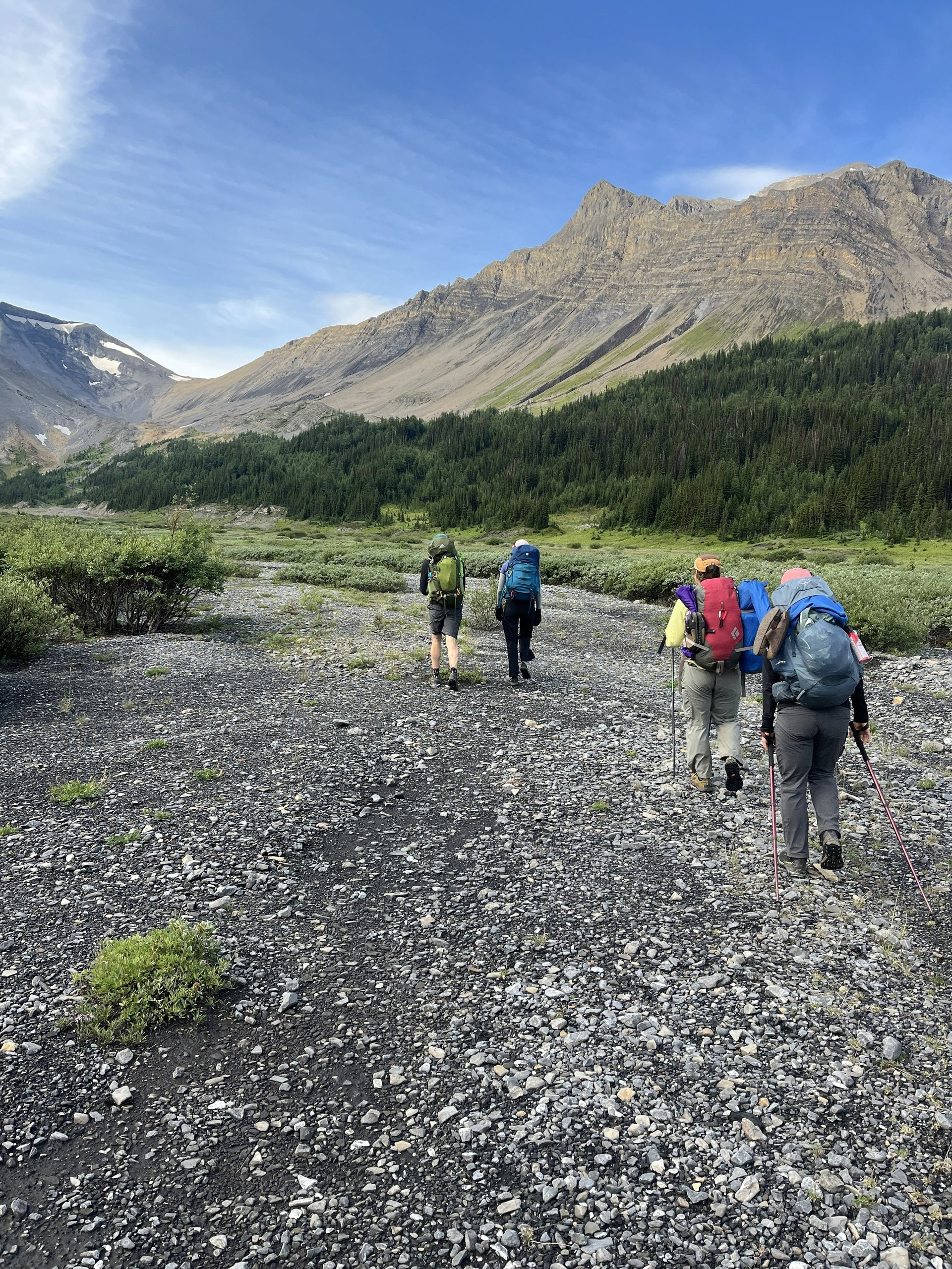 Group of five hikers with backpacks trekking on a rocky trail toward forested mountains under blue sky