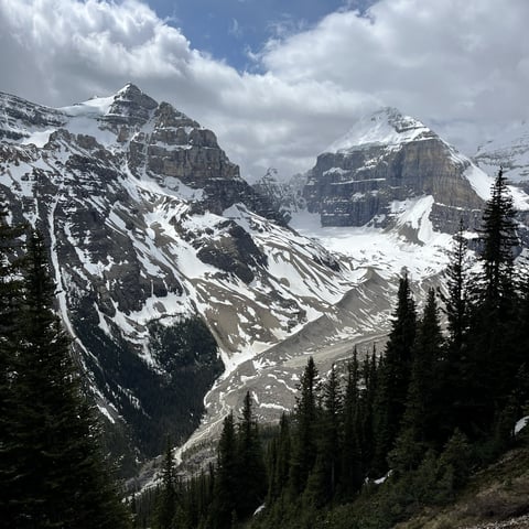 Snow-capped mountain peaks with evergreen forest in foreground under blue sky with white clouds